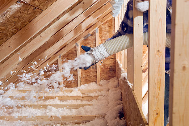 Professional Insulation Services in Fairview, TN